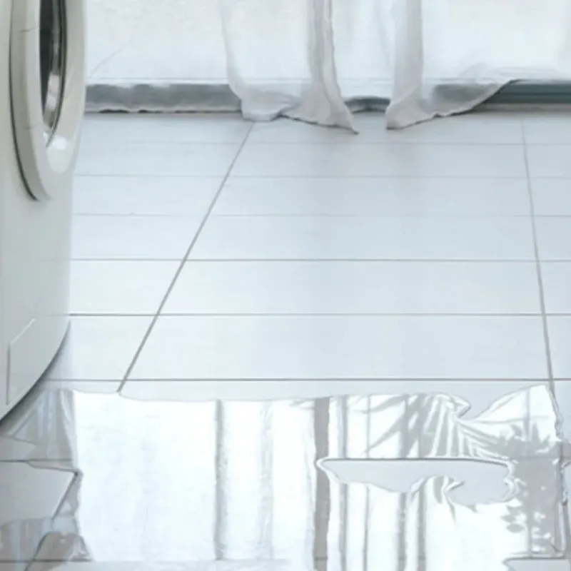 Appliance Leak Cleanup in Sunset, FL