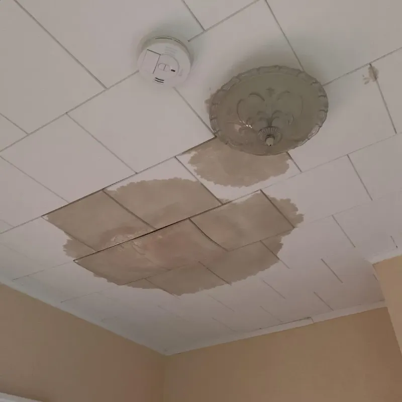 Ceiling Water Damage Repair in Sunset, FL